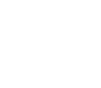 Firebase client logo - Abalogu Winner UX design Web3 fintech project portfolio