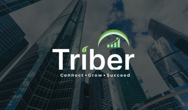 TheTriberPlatform - Finance Platform - Winner Abalogu portfolio project